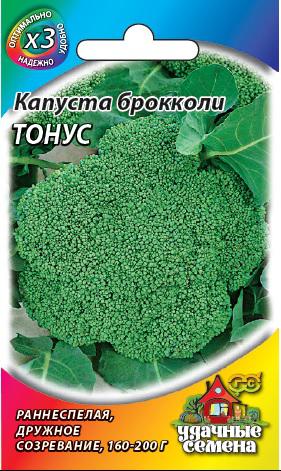 Капуста посадка и уход отзывы Капуста посадка и уход отзывы