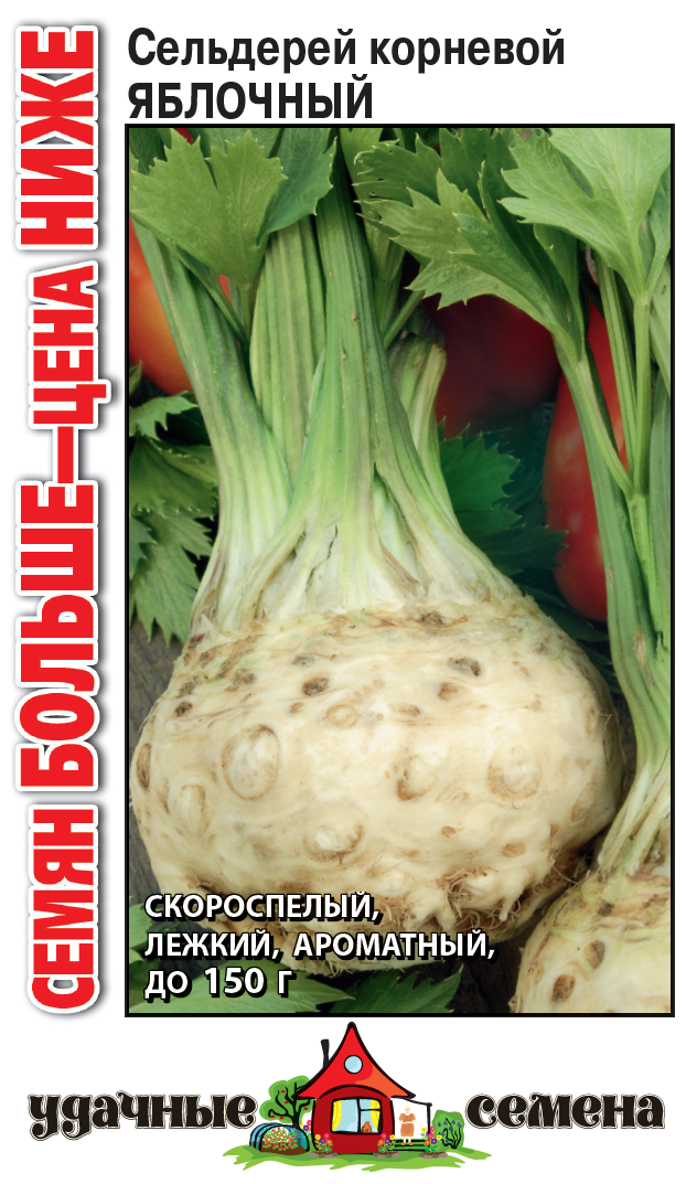 Выращивание сельдерей яблочный 98