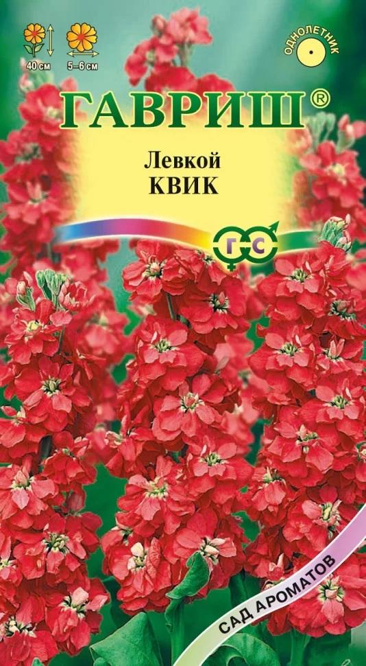 Левкой квик фото