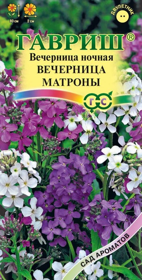 Вечерница матроны фото