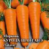 Морковь Курода Шантанэ 25,0 г