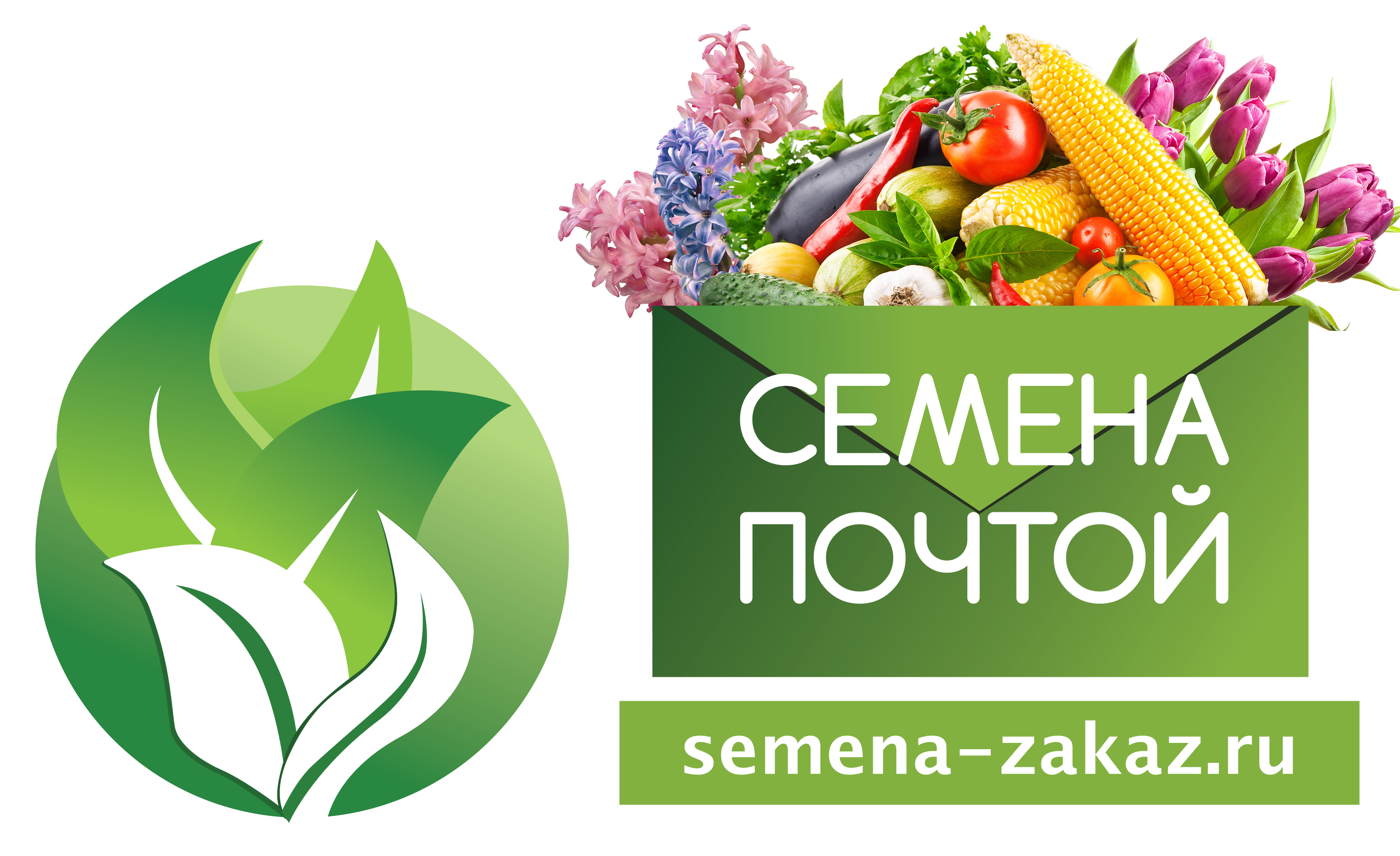 Магазин семян онлайн рафаилов семен викторович