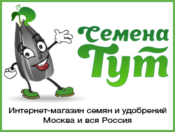 http://semena-tut.ru