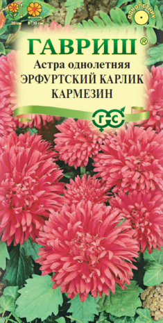 Астра однолетняя Эрф. карлик Кармезин 0,3 г