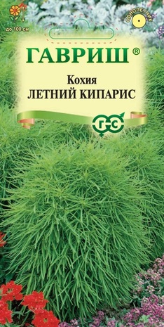 Кохия Летний кипарис (веничная)0,3 г