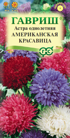 Астра Американская красавица, смесь 0,3 г Астра Американская красавица, смесь 0,3 г