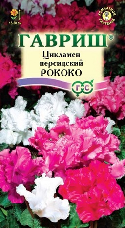 Цикламен персидский Рококо, смесь, 3шт