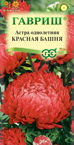 Астра Красная башня 0,3 г, пионовидная