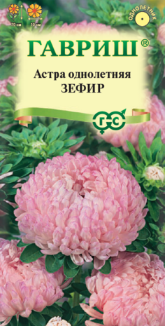 Астра Зефир 0,3 г,пионовидная нежно-розовая