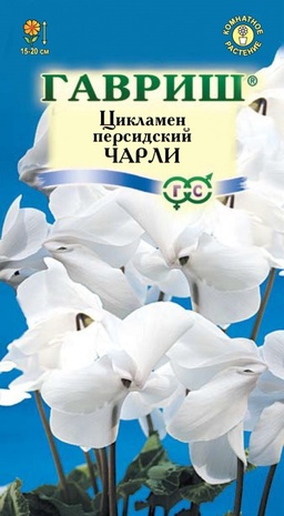 Цикламен персидский Чарли, 3шт