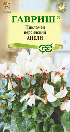 Цикламен персидский Анели, 3шт Цикламен персидский Анели, 3шт