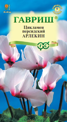 Цикламен персидский Арлекин, 3шт