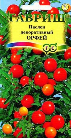 Паслён перцевидный Орфей * 12 шт.