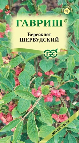 Бересклет европейский  ШЕРВУДСКИЙ  0,2 г Бересклет европейский  ШЕРВУДСКИЙ  0,2 г