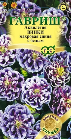 Аквилегия Винки синяя с белым* 5 шт сер. Элитная клумба