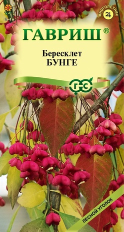 Бересклет Бунге 0,2 г