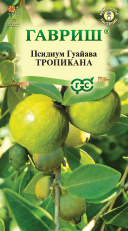 Псидиум Гуайава Тропикана 0,2 г Псидиум Гуайава Тропикана 0,2 г