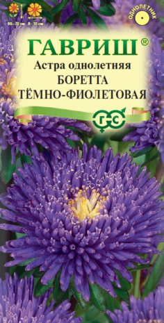Астра Боретта темно-фиолетовая 0,3 г, принцесса Н9