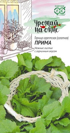 Горчица сорептская (салатная) Прима 1 г серия Урожай на окне 