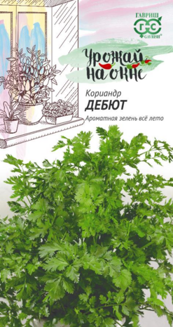 Кориандр Дебют 2,0 г сер. Урожай на окне