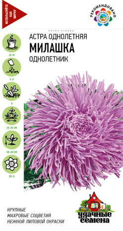 Астра Милашка 0,3 г Уд. с., коготковая лиловая