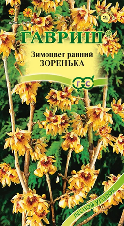 Зимоцвет ранний Зоренька 3 шт.