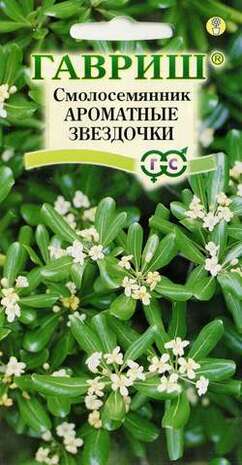 Смолосемянник Ароматные звездочки 0,5 г Н11