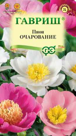 Пион средний Очарование 3 шт