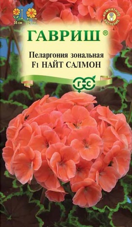 Пеларгония Найт Салмон F1зональная *  4 шт. Н11