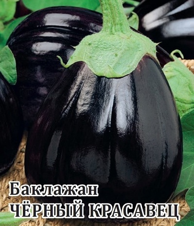 Баклажан Черный красавец 25,0 г Баклажан Черный красавец 25,0 г