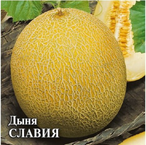 Дыня Славия 25,0 г