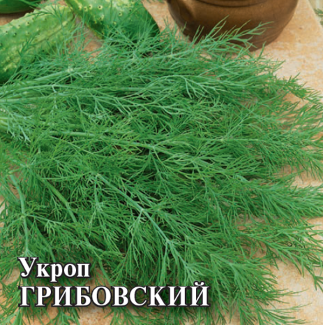 Укроп Грибовский 25,0 г