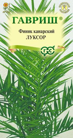 Финик канарский Луксор 2 шт.