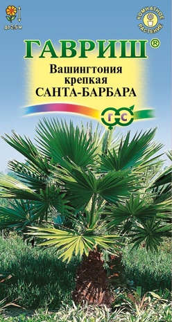 Вашингтония крепкая Санта-Барбара 3 шт.
