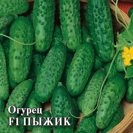 Огурец Пыжик F1 250 шт.пикуль
