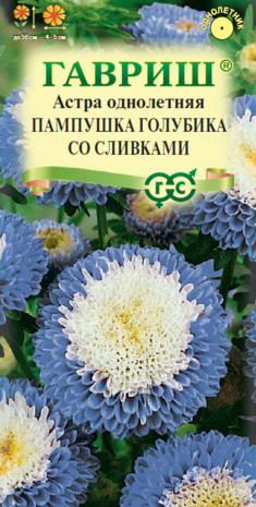 Астра Пампушка голубика со сливками, однолетняя (помпонная) 0,3 г
