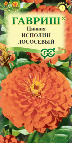 Цинния Исполин лососевый 0,3 г Н12