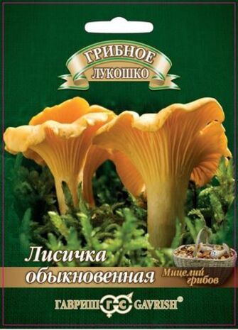 Лисички 