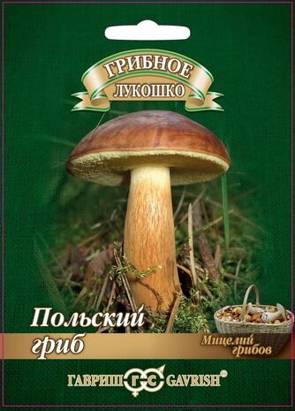 Польский гриб на субстрате, 60 мл Польский гриб на субстрате, 60 мл
