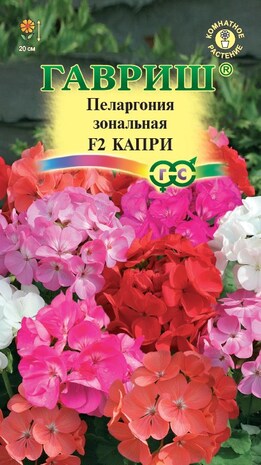 Пеларгония Капри F2 зональная* 4 шт. Н12