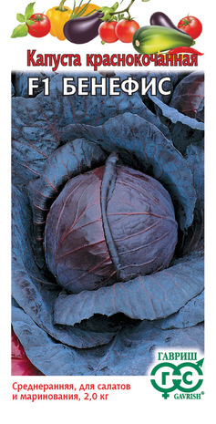Капуста краснокоч. Бенефис F1 0,1 г H13