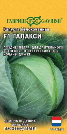 Капуста белокоч. Галакси F1 10 шт. для хранения (Голландия)Н19