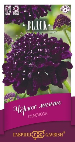 Скабиоза пурпурная Чёрное манто, махр. 0,2 г серия Блэк DH Скабиоза пурпурная Чёрное манто, махр. 0,2 г серия Блэк DH
