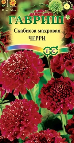 Скабиоза  Черри, махр. 0,2 г DH Скабиоза  Черри, махр. 0,2 г DH