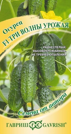 Огурец Три волны урожая F1 10 шт. автор. Н24