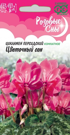 Цикламен персидский Цветочный сон, 3 шт, сер. Розовые сны