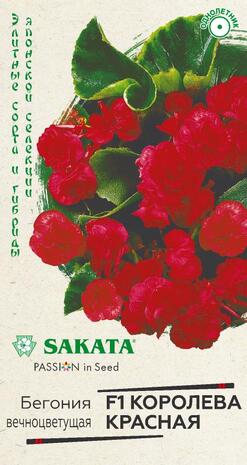 Бегония Королева красная F1  4 шт. пробирка, серия Саката Н20 Бегония Королева красная F1  4 шт. пробирка, серия Саката Н20