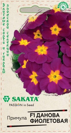 Примула грунтовая (первоцвет) Данова фиолетовая F1, бесстебельн. 5 шт. Саката Н20