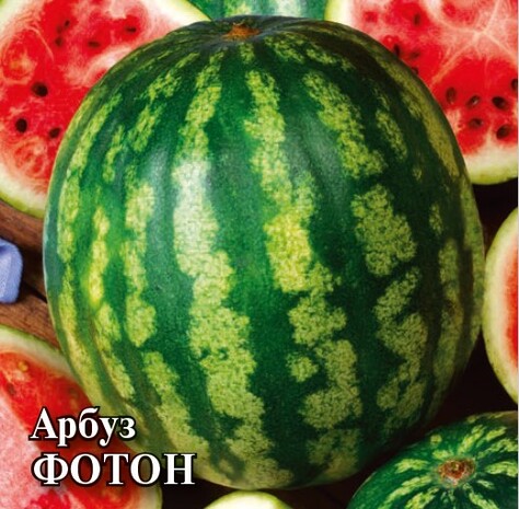 Арбуз Фотон 10,0 г