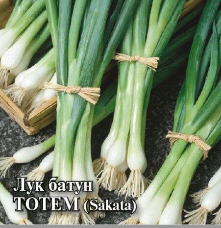 Лук батун Тотем  10,0 г (Саката)